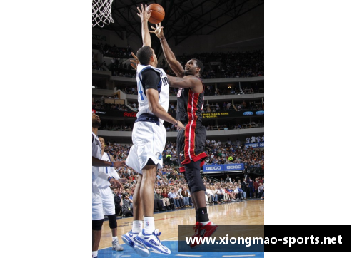 NBA达拉斯小牛队：球场上的新征程