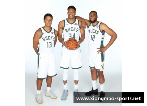NBA官网最新动态：2024赛季球队变动与明星球员表现分析